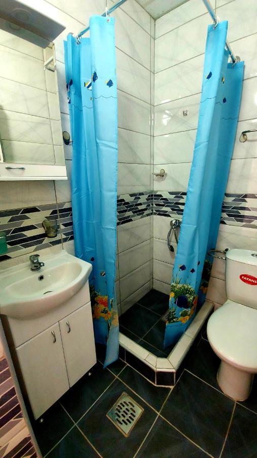 Apartman Mladenovic Apartment Zajecar Bagian luar foto
