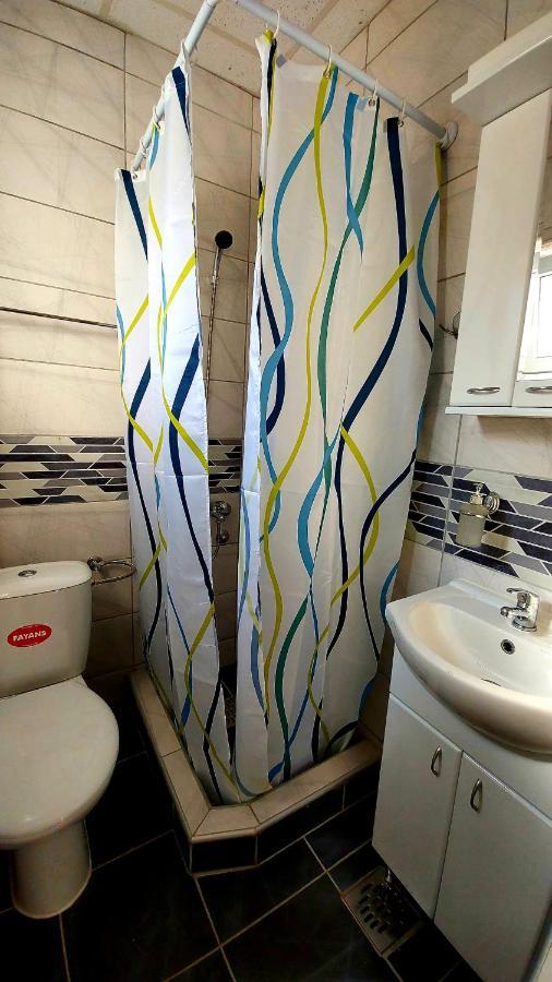 Apartman Mladenovic Apartment Zajecar Bagian luar foto
