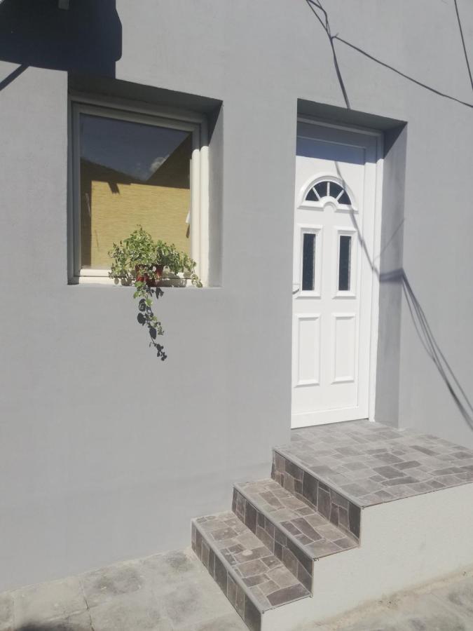 Apartman Mladenovic Apartment Zajecar Bagian luar foto