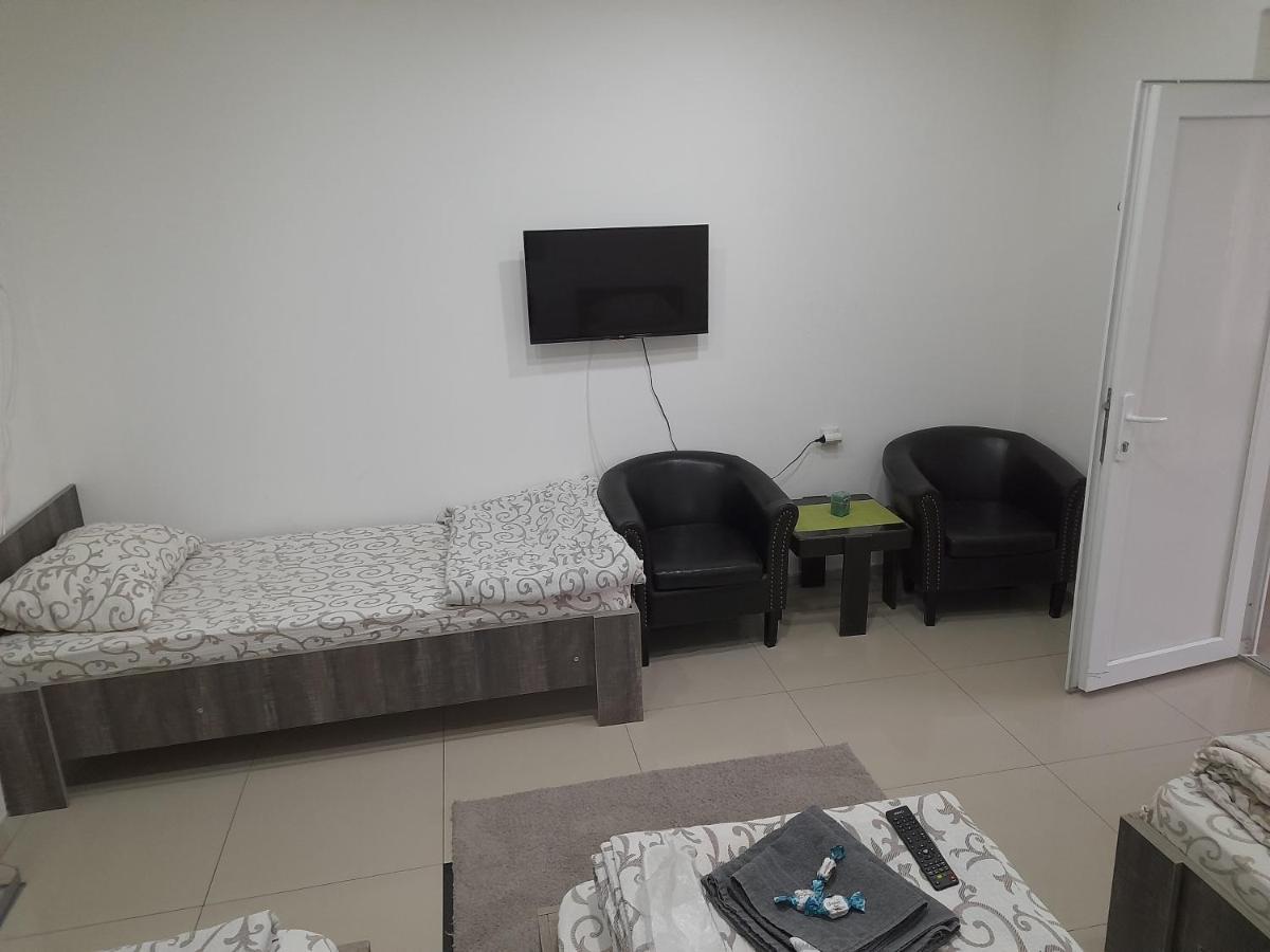 Apartman Mladenovic Apartment Zajecar Bagian luar foto